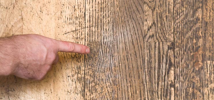 Wood Door Scratch Repair in Mountain View